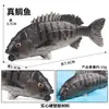 Juguete Modelo de Animal Marino Sólido de Simulación Cognitiva Salmón Pez Yamaha Lobina Negra Atún Tiburón