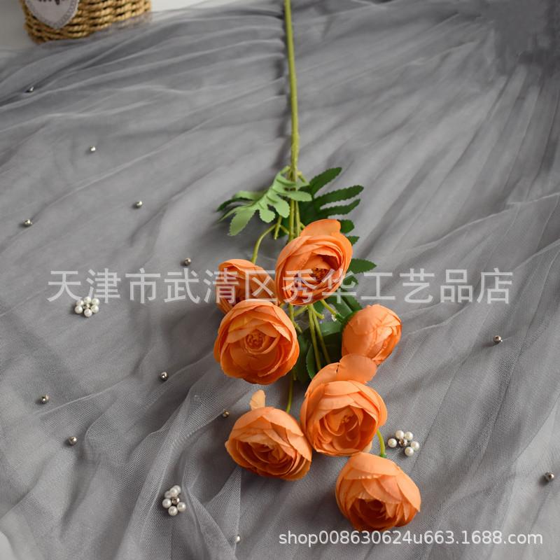 7头茶玫焦糖色