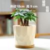 Vaso de Flores Cerâmico Estilo Ins Nórdico fosco simples para interior Phalaenopsis tulipa verde vaso grande para plantas verdes