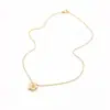 Collar Colgante Pequeña Flor Zirconio Metal Cepillado de Gama Alta para Mujer 2026 Nueva Moda Cadena Clavicular de Temperamento para el Trabajo
