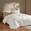 Colcha Antibacteriana de Espacio Clase A para Sueño Profundo Ropa de Cama Doméstica Doble Resortes/Colcha de Otoño para Todas las Estaciones Individual Engrosada Ropa de Cama de Invierno