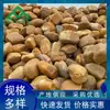 Piedra de Cera Amarilla al por Mayor para Estanques de Peces, Piedra de Cera Amarilla Natural para Rocallas, Piedras para Césped de Parques, Decoraciones de Taludes y Adornos de Arroyos