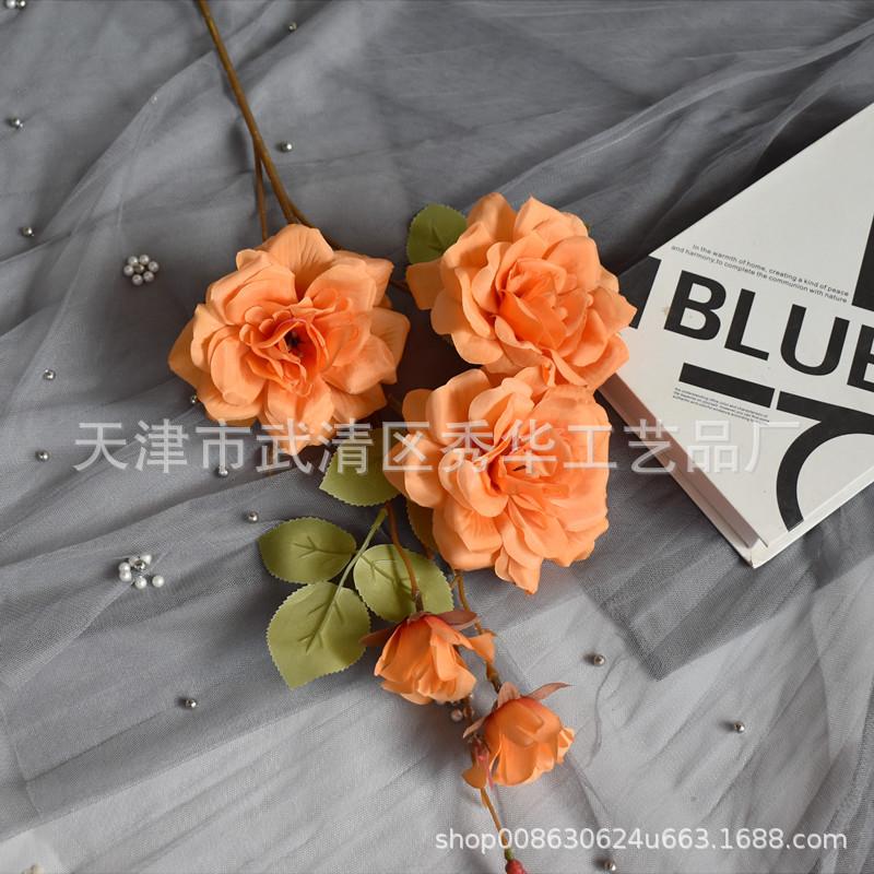 茶花桔色