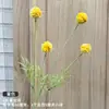 Buquê amarelo multi-cabeça longo ramo rosa peônia hortênsia amarelo claro casamento estrada de casamento fundo de chumbo flor falsa flor de seda