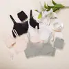 Conjunto de Sujetador de Chica sin Aros Taza Triangular Tubo Ropa Interior de Encaje Sexy con Espalda de Tubo