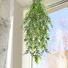 Simulação Eucalipto Rattan Flor de Plástico Videira Flor Artificial Videira Pendurada Pendurado Na Parede Interior Ar Condicionado Duto Sombreamento Faixa de Flor Decorativa