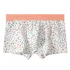 Pantalones Cortos de Algodón para Hombre, Calzoncillos Deportivos Antibacterianos de Alta Gama para Hombre, Calzoncillos de Algodón al por Mayor