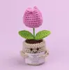 Planta Emocional Planta em Vaso Feita à Mão de Crochê com Etiqueta em Inglês, Flor Artificial de Lã, Fornecimento de Presente Transfronteiriço