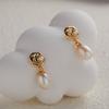 Pendientes de plata de ley S925 de cuerpo entero con perla de agua dulce natural de color tesoro, pendientes de flor de rosa con temperamento femenino, pendientes de perla