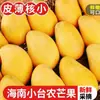 Manga Xiaotainong de Hainan 5kg Manga Xiaotainong Colhida na Hora Fruta Tropical da Estação Especialidade Manga Frete Grátis