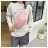 Bolso Pequeño de Nailon Estilo Coreano para Mujer 2026 Nuevo Modelo Bolso de Hombro Texturizado Bolso de Pecho Bolso Cruzado Pequeño para Cintura