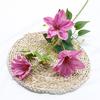 Mei Rui, flores de simulación de alta gama, decoración suave para el hogar, flores de boda, flores de simulación de pared, material de tacto real, fabricantes de clemátides al por mayor