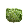 Pañales para Ardillas, Pañales Lavables, Suministros para Salidas, Entrenamiento, Limpieza, Absorción de Agua, Suministros para Mascotas Pequeñas