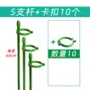 5 Hastes de Suporte para Plantas para Orquídeas, Proteção de Folhas, Monstera, Caladium, Estrutura de Suporte para Jardinagem, Fixação Antiderrapante para Flores