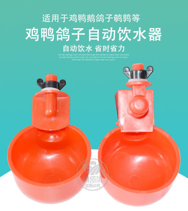 鸡用饮水碗D详情页(1).jpg