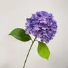 Alta simulação grande profundidade de hortênsia várias cores para fazer a parede da proposta mais realista infinita hortênsia de verão impressão 3D