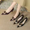 Salto Alto de Bico Fino 2025 Novo Sapatos Femininos Estilosos e Elegantes Estilo Britânico Primavera e Outono Sapatos Versáteis com Saias