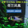 Decoraciones para Acuario para Pez Ángel, Guppy, Pez Betta, Peces Tropicales y Peces Guppy, Suministro Directo del Mercado de Peces