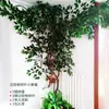 Folhas, galhos, videiras, flores artificiais, trepadeiras, canos, pilares, plantas trepadeiras, plantas verdes, plantas de parede, cobrindo imperfeições, decorações