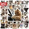 50 Adesivos de Cabeça de Gato Rosa para Compra Direta Transfronteiriça Adesivos Decorativos Criativos Tendência para Guitarra, Computador, Garrafa de Água