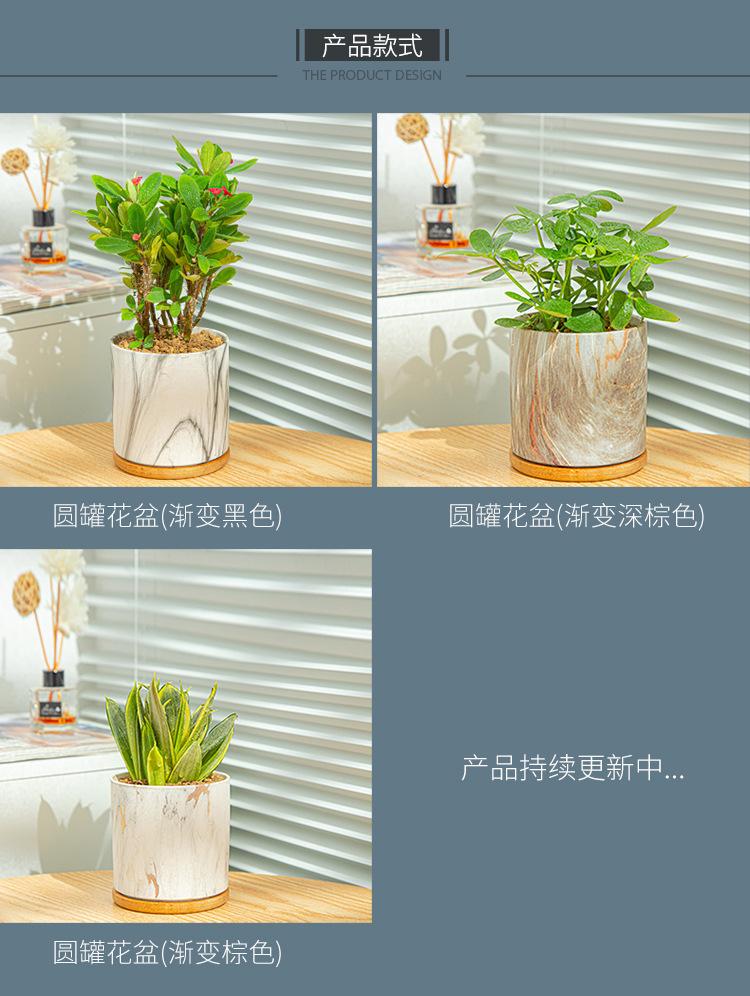 详情图04.jpg