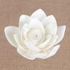 Incienso sin llama de ratán con fragancia natural (Flor de Loto Pequeña) - Flor Natural Hecha a Mano Simulada de Flor Seca Absorbente de Aceite