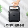 Bolsa Portátil para Exterior Áudio Dança de Salão Subwoofer Alto-falante Bluetooth Subwoofer de Alta Potência com Microfone Estéreo