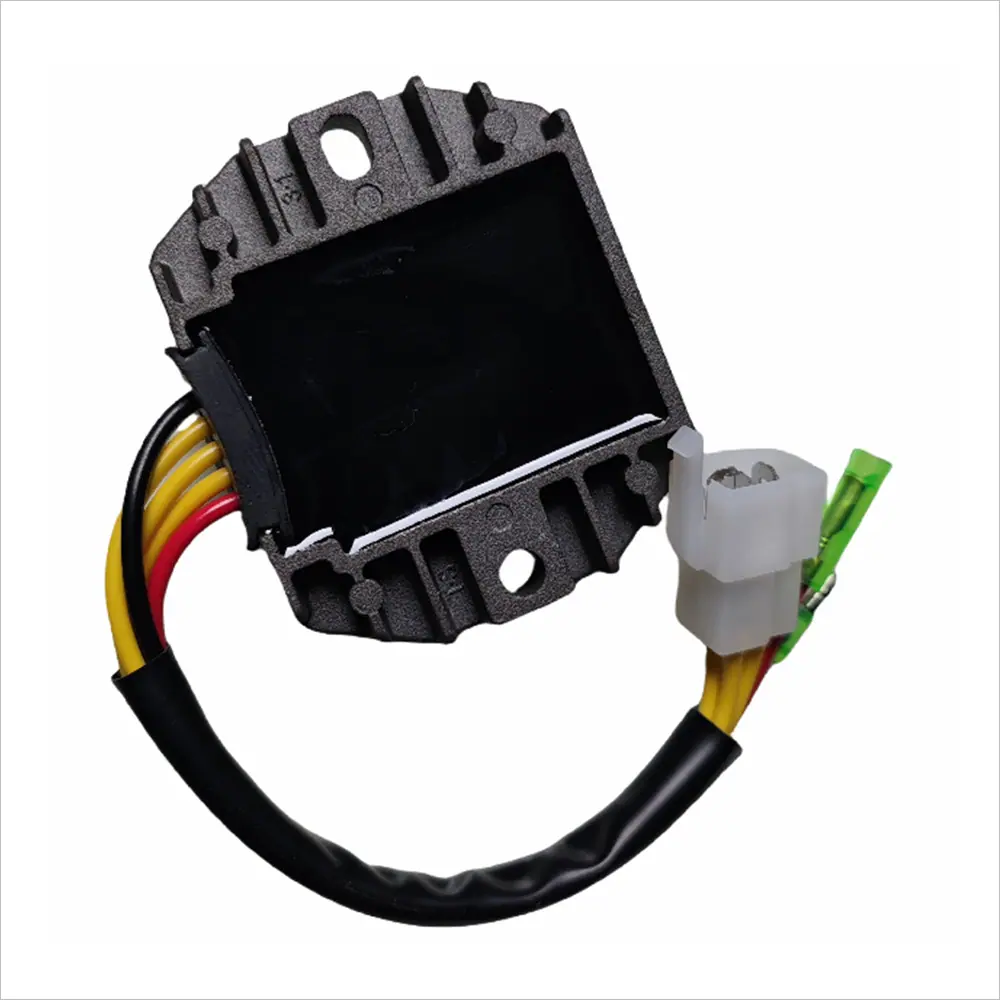 R2011.3Y  (5)