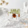 A Fábrica de Artesanato Zhongkun vende espécimes de insetos genuínos como itens decorativos, embutidos em resina de alta transparência, como brinquedos científicos educativos para crianças.