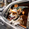 Casco popular transfronterizo para perro y gato en motocicleta, apto para actividades al aire libre, con diseño que cubre las orejas