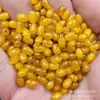 Cuentas de Maíz Amarillo Cuentas Sueltas de Jade Cuarcita Jade Amarillo Mantequilla Ovaladas Paspartú Pulsera Collar Accesorios de Joyería Cuentas