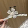 Presilha de cabelo flor de acetato simples e elegante para mulheres, novo modelo 2026, presilha para a parte de trás da cabeça, grampo para meio rabo de cavalo, presilha de tubarão