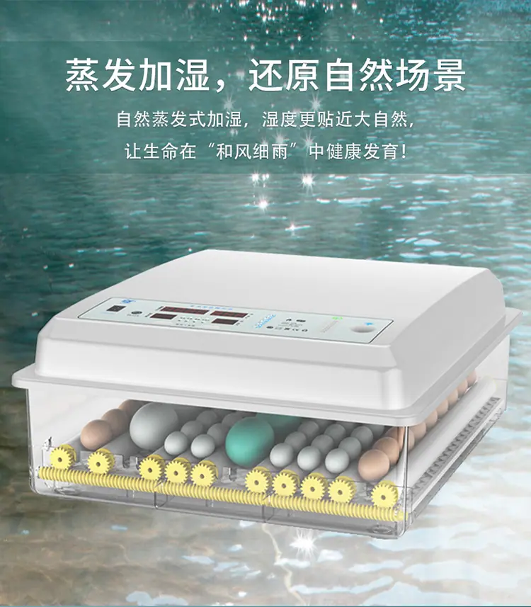 白壳详情1_15.jpg