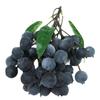 Simulación guirnalda de frutas espuma ojo de dragón longan lichi arándano cereza accesorios de fruta falsa accesorios de rodaje