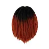 Perucas Rastafári Mais Vendidas para Comércio Exterior Cabelo Afro Cacheado Marley Twist Cabelo de Lagarta Rasgado à Mão Venda por Atacado