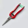 Toshinosuke Tijeras Rectas para Fruta Fina Tijeras de Codo para Recoger y Cortar Uvas Tijeras para Fruta Tijeras para Tomate Tijeras para Flores