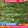 Caixa de Fita de Alga Salgada Fresca 4kg Fita Grossa Longa de Alga Ingredientes para Caçarola Arroz Macarrão Salada Picante Quente Atacado