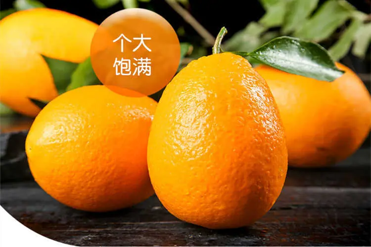 详情3