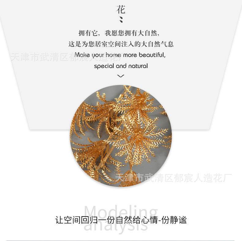 详情_05.jpg