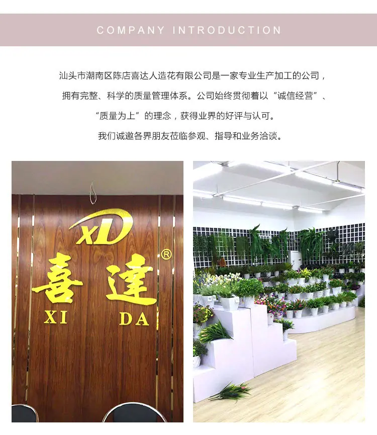 5头如意小兰花_09