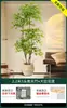 Planta Verde Artificial Nantianzhu, de Gama Alta y Lujo, de Pie, Grande para Interiores y Exteriores, Bonsái de Alta Calidad, Árbol Falso para la Sala de Estar