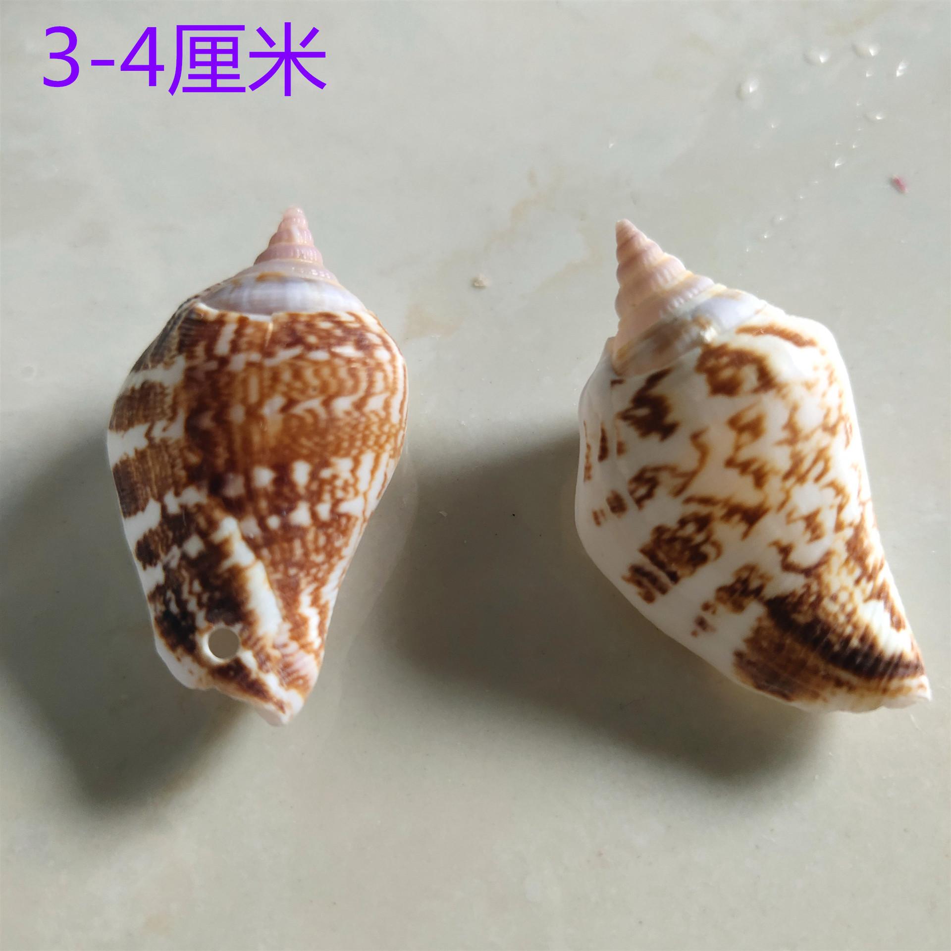 IMG_20200129_125136_副本