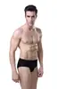 Fabricantes de calcinhas atacado cuecas masculinas sexy confortáveis fibra de bambu cor sólida cuecas masculinas briefs 6123