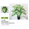 Arranjo de Flores Artificiais Bonsai para Sala de Estar com Toque de Luxo, Vasos de Flores Artificiais Realistas, Plantas Verdes Artificiais Amazon, Flores Artificiais