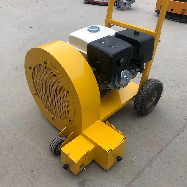 马路吹风机2021.10.18 (9)