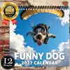 Calendario de Pared Divertido Lindo Perro Mascota 2027 Animal Creativo Foto Calendario Amazon Temu Transfronterizo