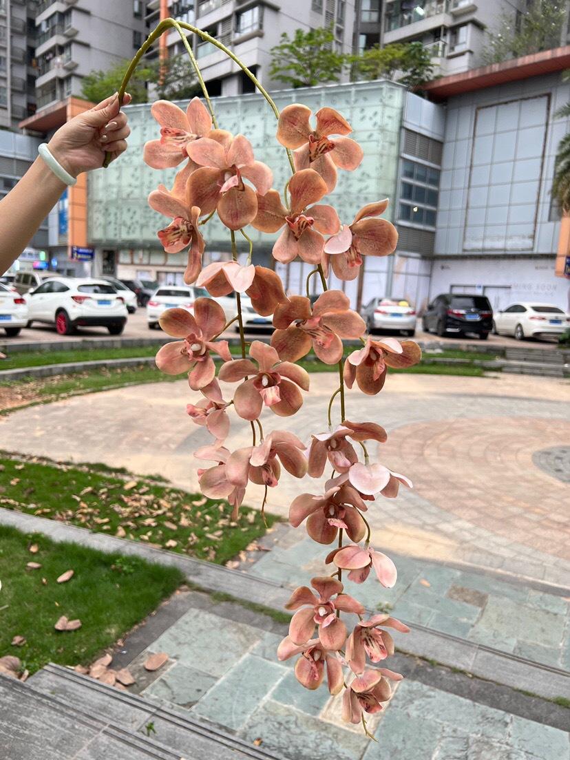 微信图片_20240804132509.jpg
