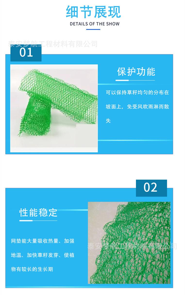 三维植被网详情4_副本