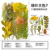 Espécimes de Plantas com Folhas Reais de Outono, Adesivos Artesanais, Flores Secas, Flores Prensadas, Pinturas Decorativas de Folhas DIY, Marcadores de Página de Plantas