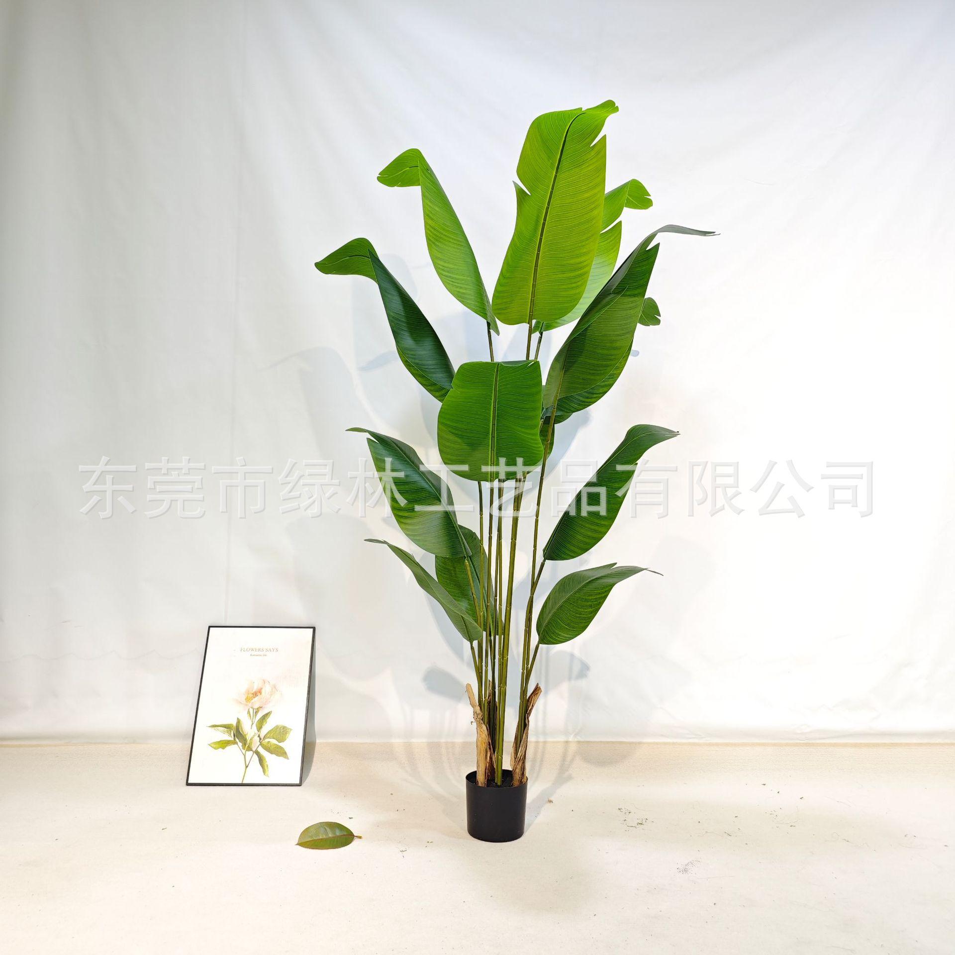 微信图片_20231104092057